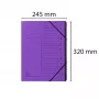 Exacompta Laiendatav Kaust 12 Sektsiooniga Violetne Colorspan