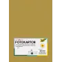 Folia 614/50 65 - Kuldne - Ühtlane värv - A4 (210 x 297 mm) - 300 g/m² - Matt - 50 lehte