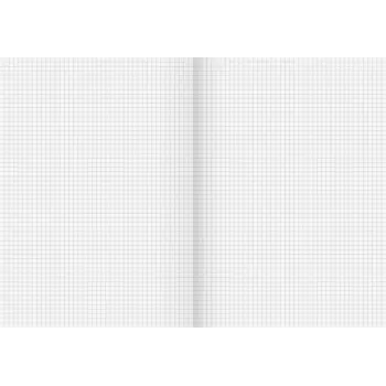 BRUNNEN School Notebook Recycling Lineatur 22 Ruuduline ilma veeriseta A4 80 lehte