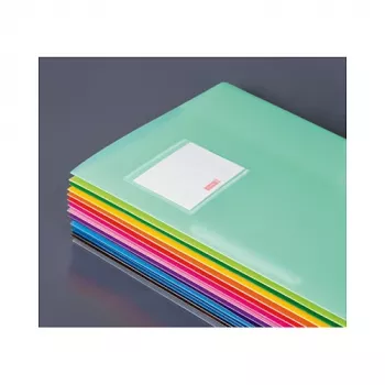 BRUNNEN FACT! Fastener File Polypropylene Brown Translucent DIN A4