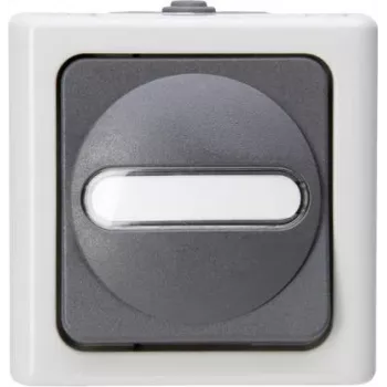 Heinrich Kopp Kreuzschalter AP-Feuchtraum BLUE ELECTRIC Grey 10A 250V IP44 Surface-Mounted Changeover Switch