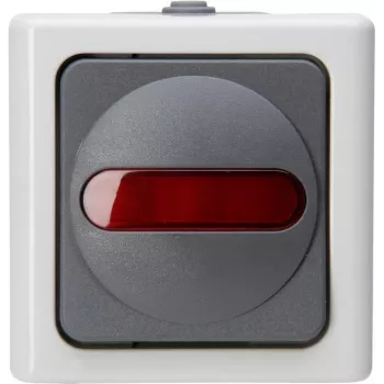 Heinrich Kopp 561656007 Surunupplüliti, hall/valge, termoplast, IP44, 10A, 250V