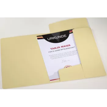 PAGNA Pastell Eco Elasticated Folder A4 PP Pastel Yellow for Documents