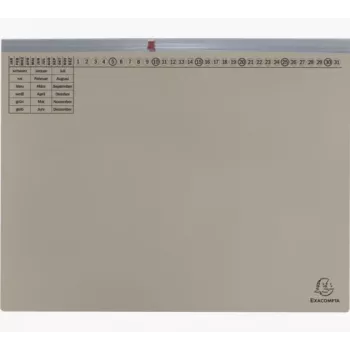 Exacompta 370110B Tavaline kaustik - papp - hall - 320 g/m² - 265 x 316 mm