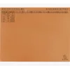 Exacompta 371109B Tavaline kaustik - papp - oranž - 320 g/m² - 265 x 316 mm