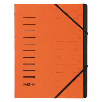 PAGNA 40059-12 A4 Oranž elastse kinnitiga dokumentide kaust 320x245x5 mm