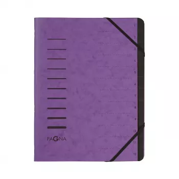 PAGNA Document Folder A4 Violet Portrait 5 mm Spine 245 x 320 mm