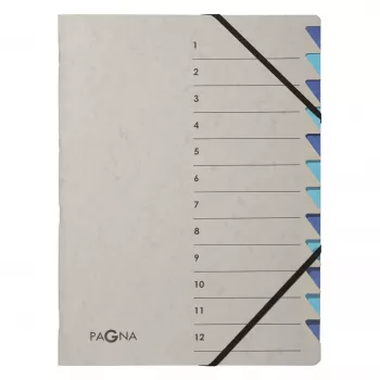 PAGNA Kogumiskaust A4 Papp Sinine/Hall 240x320 mm Selg 4 mm 44312-02