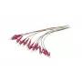 Synergy 21 Fiiberoptiline Pigtail LC 50/125 µm OM4 2 m 12-Pack Värviline