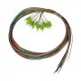 SYNERGY21 LC Pigtail 50/125µm OM5 2m 12-Pack Color-Coded Indoor Cable