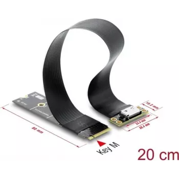 Delock M.2 Key M to 1 x OCuLink SFF-8612 Converter with 20 cm Cable