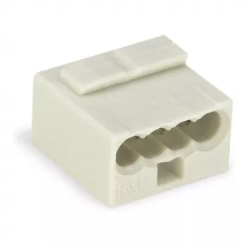 WAGO 243-304 PUSH WIRE® Connector 2-Conductor 100V 24A Transparent