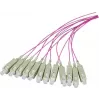 EFB Elektronik Fiber Pigtail SC OM4 50/125µm Erika Violet 2m