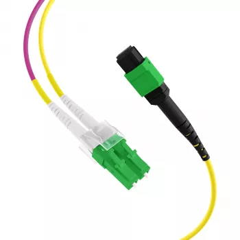 EFB Elektronik MTPF12LCAPC-1 - 1 m - OS2 - MTP - 12x LC Fiiberoptiline hargnemiskaabel