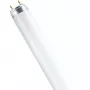 OSRAM LUMILUX T8 Luminofoorlamp 18W/827 G13 60 cm