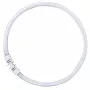 OSRAM LUMILUX T5 FC Ringluminofoorlamp 40W 830 2GX13 Soe Valge 3000K
