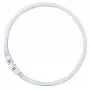 OSRAM LUMILUX T5 FC Ringluminofoorlamp 55W 865 Päevavalgus 2GX13