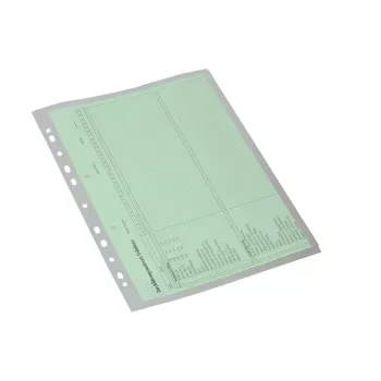 Eichner 10 dokumendikorraldusümbrikut, läbipaistev, sile, A4