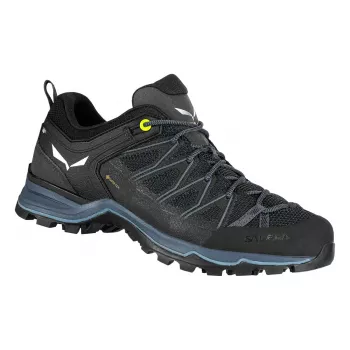 Salewa Mountain Trainer Lite GTX matkasaapad - must