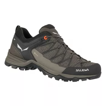 Salewa Mountain Trainer Lite GTX matkasaapad