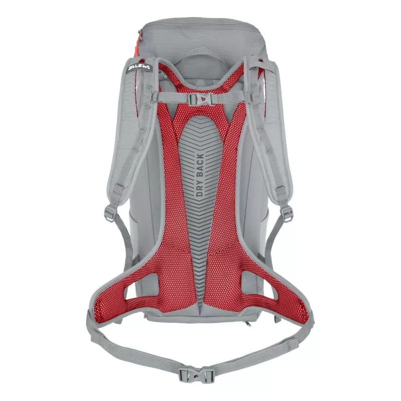 Salewa Alp Mate 30 naiste matkaseljakott - Alloy
