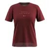 Naiste särk Salewa Eagle Eitd AM T-Shirt