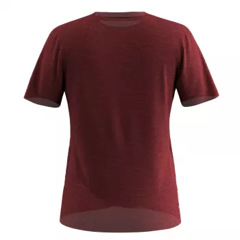 Naiste särk Salewa Eagle Eitd AM T-Shirt