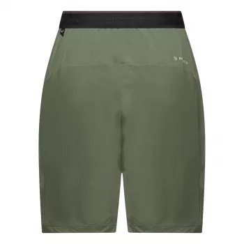 Salewa Pedroc 2 Dst Short Naiste Matkapüksid - Faded Green, suurus M