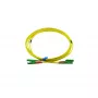 BlueOptics Duplex Fiiberoptiline Paigalduskaabel, E2000-APC/E2000-APC, Singlemode OS2, 5m, Roheline, LSZH