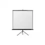 Reflecta Crystal-Line Tripod 240x240 cm Matt Valge Ekraan