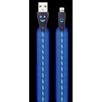 2GO 795536 USB-A - Lightning kaabel 1 m sinine