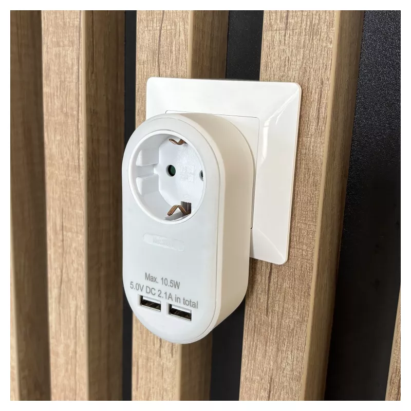 ENTAC seinakontaktpistikupesa 2x USB-A valge