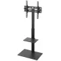 TV või monitori alus BRATECK-FS22-44TP