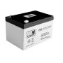 LEAN CARS AGM Gel Aku 12V 12Ah autole