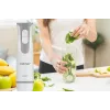 ZELMER ZHB4555S 1000W saumikser, hõbe/must, roostevabast terasest tera, muudetava kiirusega turbo funktsiooniga, hakkija 500ml, vispel, tops 700ml