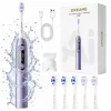 Dreame E10F Set Purple Robot Tolmuimeja ja Mop