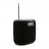 Pure Acoustics Pure Woodland Mini veekindel välikõlar FM/DAB+ raadioga, must