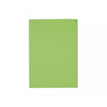 ELCO Ordo Discreta dokumendikaaned A4, 220 x 310 mm, 120 g/m², intensiivne roheline, 100 tk (29466.62)