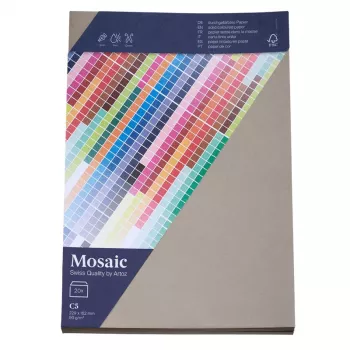 Artoz Papier Mosaic ümbrikud DIN C5 ilma aknata tsement märgliimiga 20 tk (9439420-217)