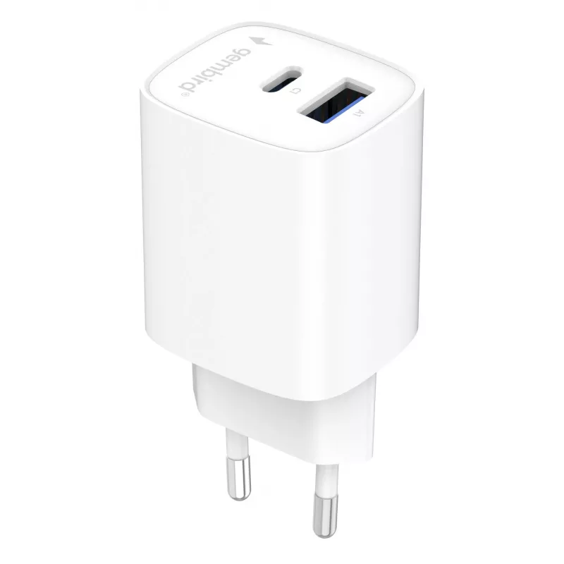 Gembird TA-UC-1A1C-PD45-01-W 45W USB-C PD seinadapter valge