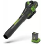 Greenworks 60V juhtmeta aksiaallehepuhur GD60AB (ainult tööriist)