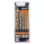 ALPEN-MAYKESTAG Alpen PTM 5 Profi Holz 4-5-6-8-10 Wood Drill Bit Set, 5 Pieces, 4-10 mm
