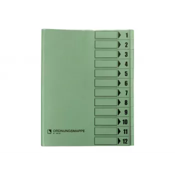 Bene Organizer Folder 12 Compartments Green A4