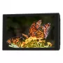 Portkeys HD7T 7 tolli 2200 cd/m² IPS kaameramonitor 3D LUT-iga