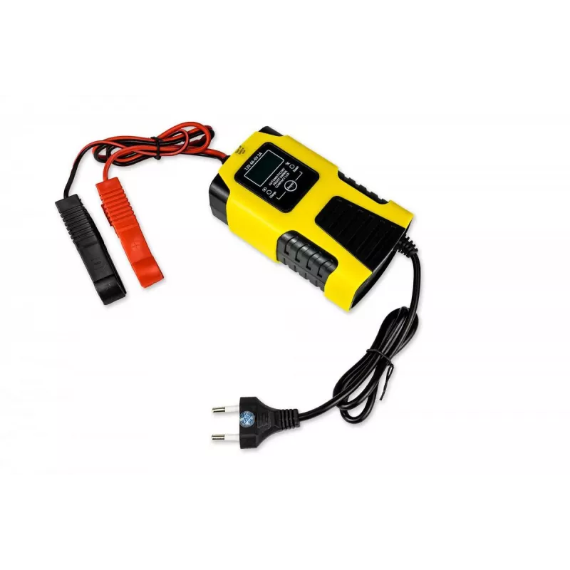 Volt Polska automaatne akulaadija 12V 4A / 6V 2A LCD
