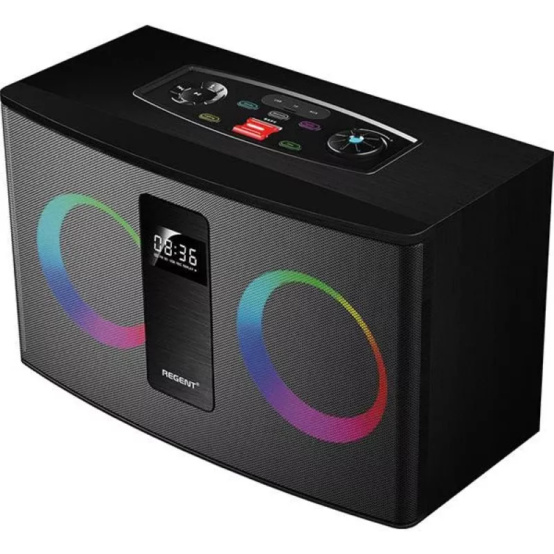 Ferguson Regent Power Audio 300BT RGB FM kaasaskantav Bluetooth kõlar