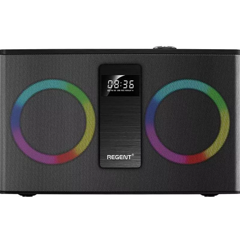 Ferguson Regent Power Audio 300BT RGB FM kaasaskantav Bluetooth kõlar