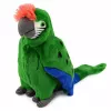 LEAN TOYS Plush Papagoi Aara Eksootiline Lind Mascot Pehme Mänguasi Roheline 24 cm