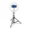 CELLY Ring Professional statiiv valgusega - 160cm, 10-tolline LED-ringvalgus, USB-toide, must