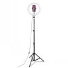 CELLY Ring Professional statiiv valgusega - 160cm, 10-tolline LED-ringvalgus, USB-toide, must